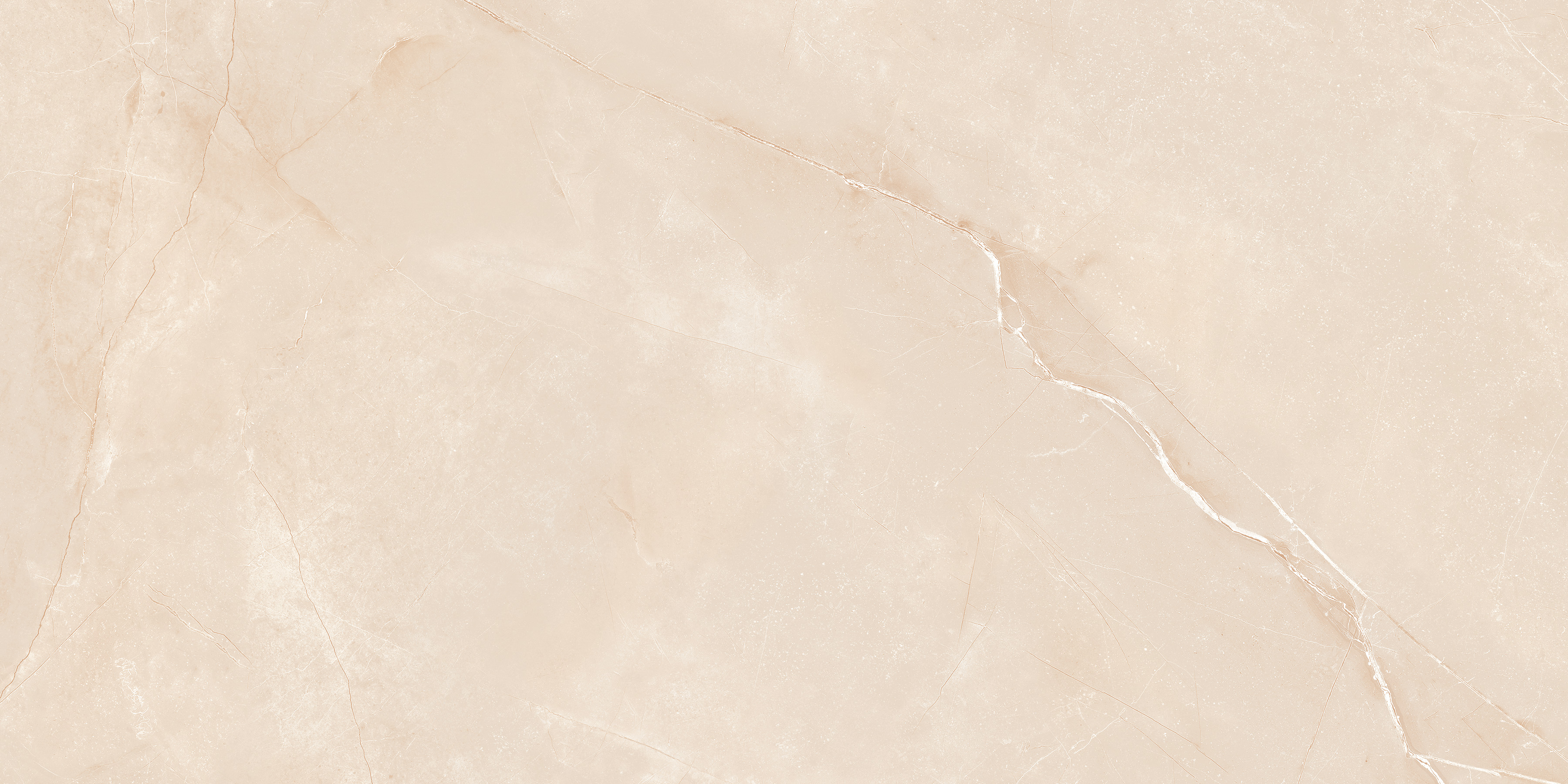 SUN-60120-019